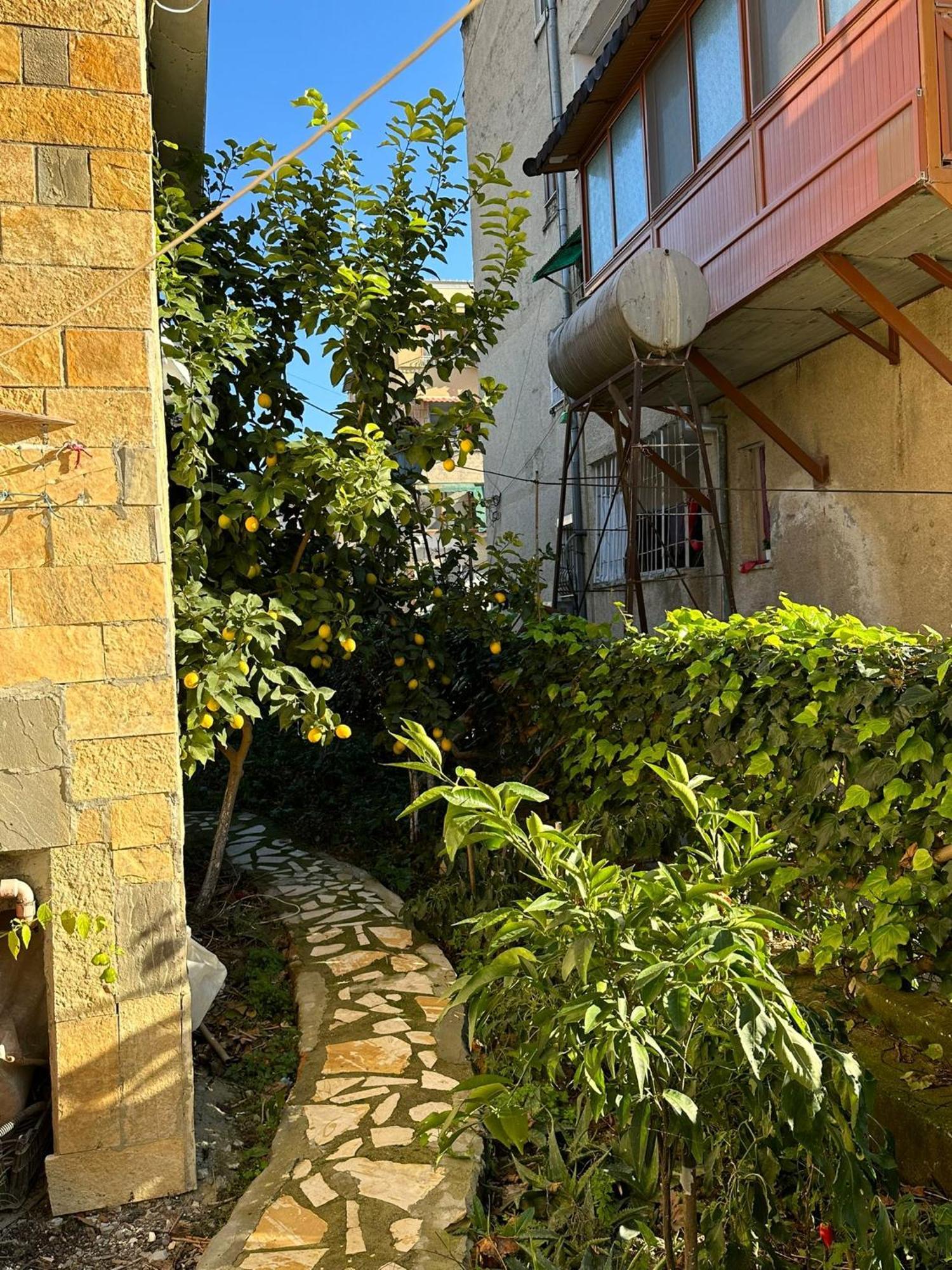 Alimeti Guesthouse 培拉特 外观 照片